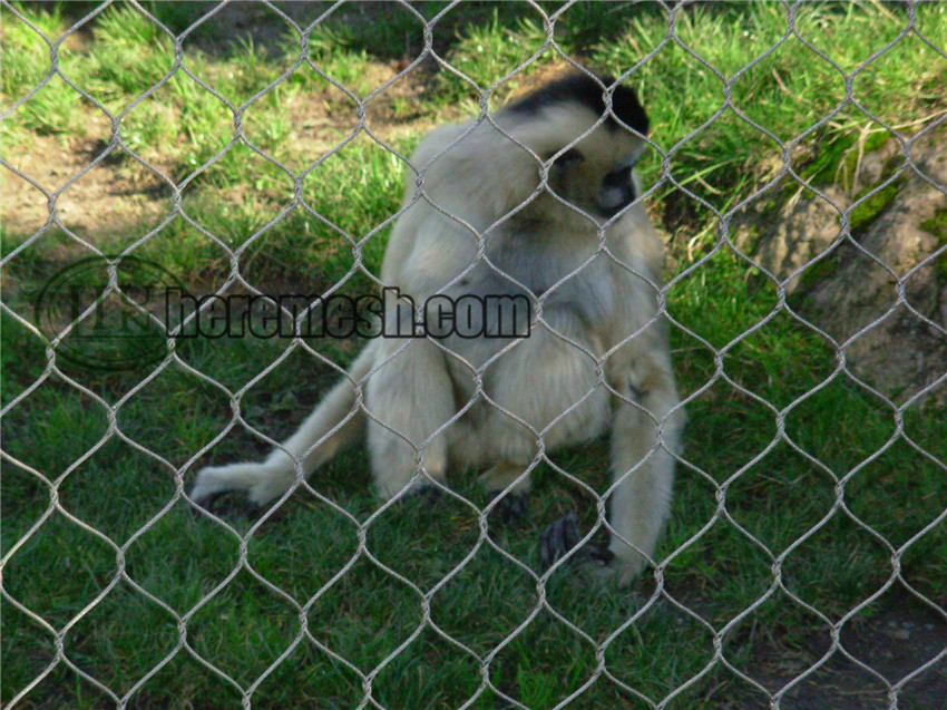 MEM-Stainless steel monkey enclosure mesh (16)