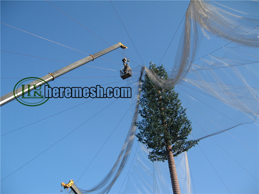 SSAM2-Stainless steel aviary mesh (5)