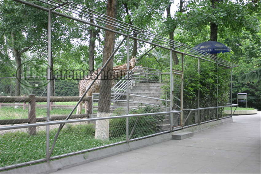 SSDFN-stainless steel deer fence net (3)