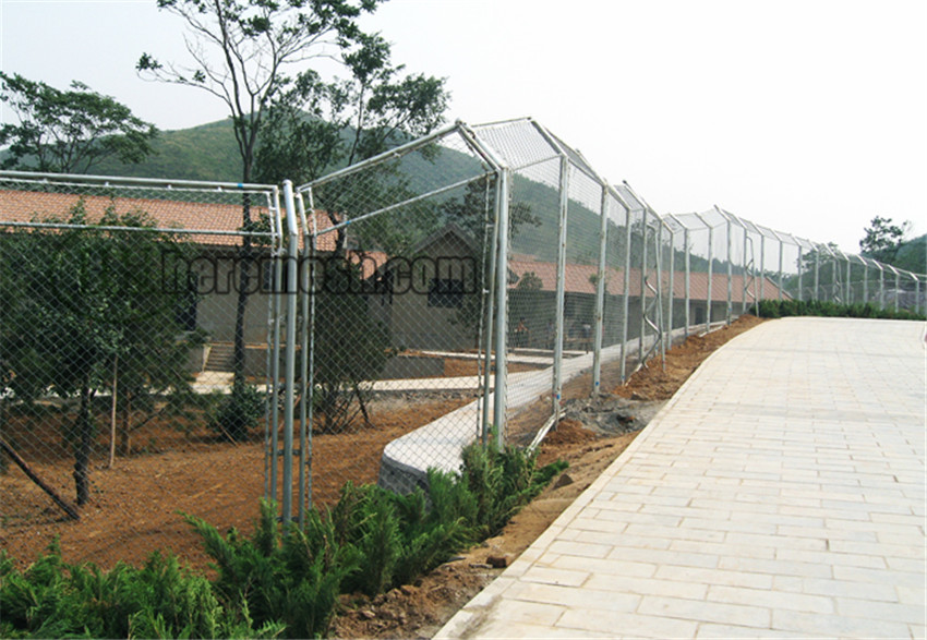 SSDFN-stainless steel deer fence net (6)