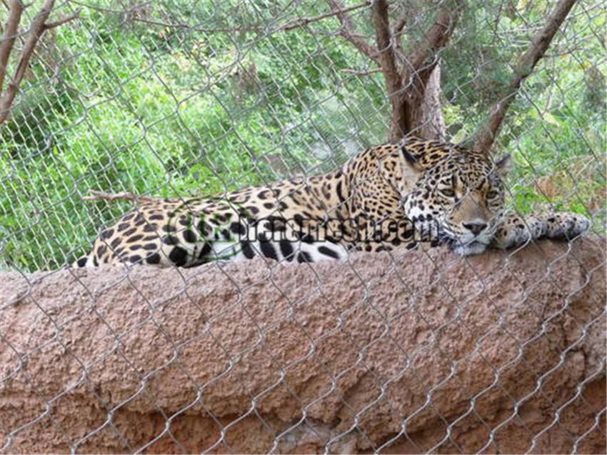 leopard cage enclosure mesh/ leopard fencing - zoo mesh, zoo cage nets