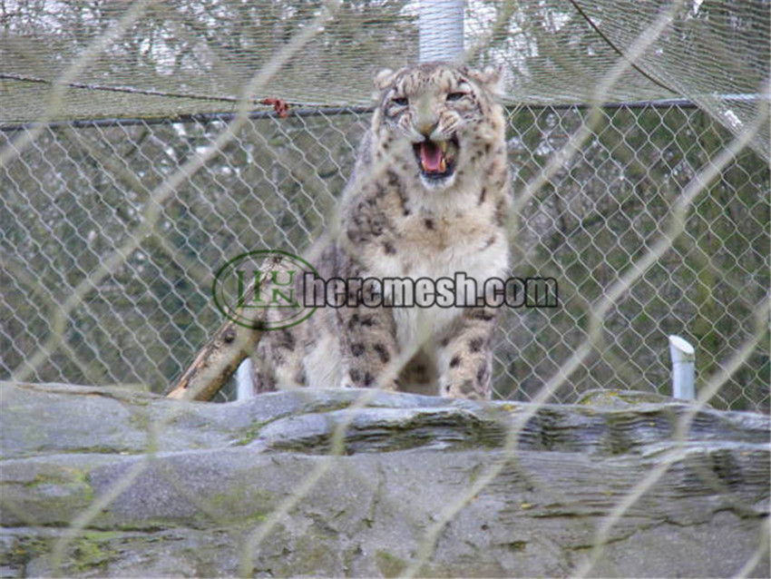 leopard cage enclosure mesh/ leopard fencing - zoo mesh, zoo cage nets