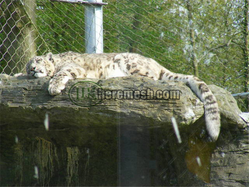 SSLEF-Stainless steel leopard enclosure fence (20)