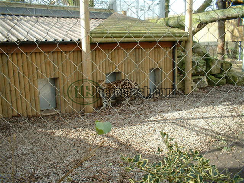 SSLEF-Stainless steel leopard enclosure fence (6)