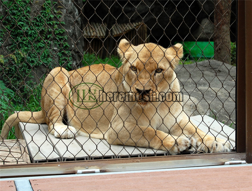 SSLFM-Stainless steel lion fence mesh (1)