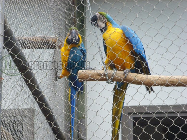 leopard cage enclosure mesh/ leopard fencing - zoo mesh, zoo cage nets