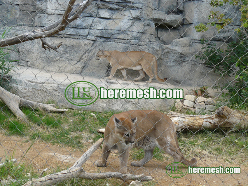 cougar fence mesh