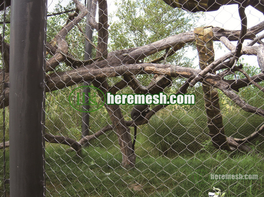 monkey enclosure fence