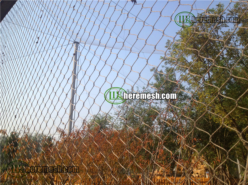 stainless steel cable mesh projects case21