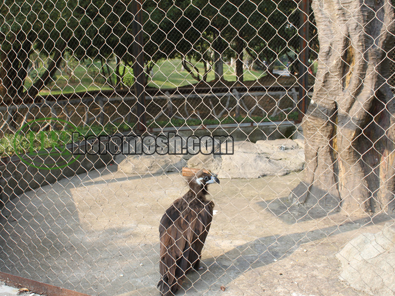 Eagle aviary mesh