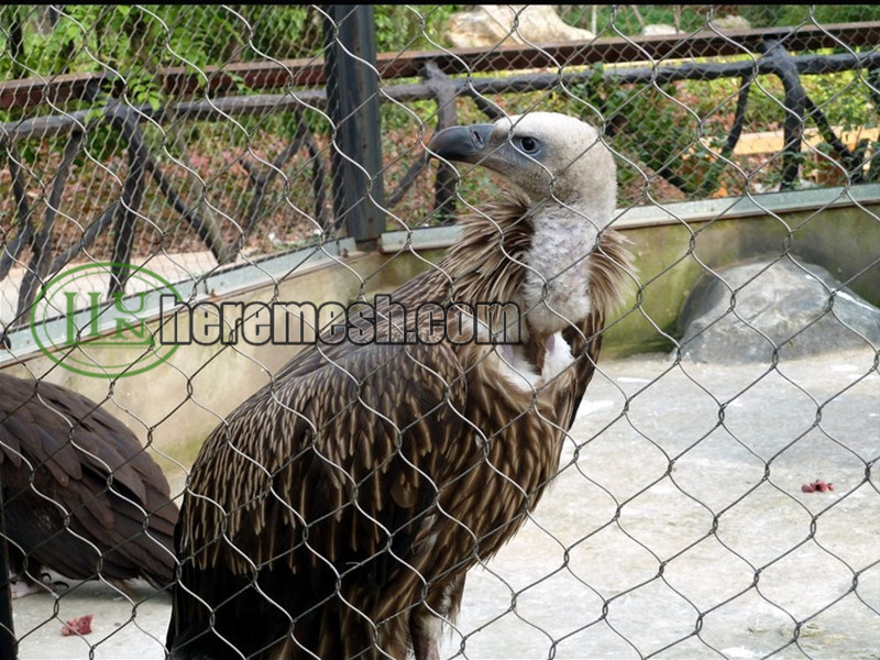 Eagle enclosure mesh