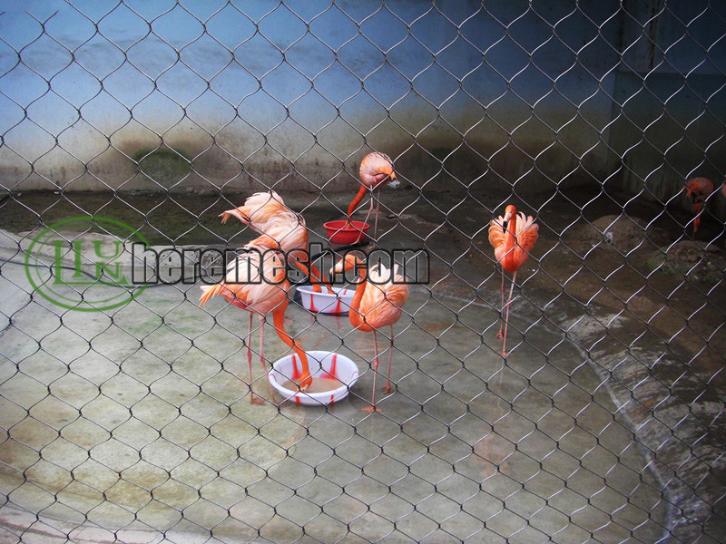 Flamingo Enclosure Mesh