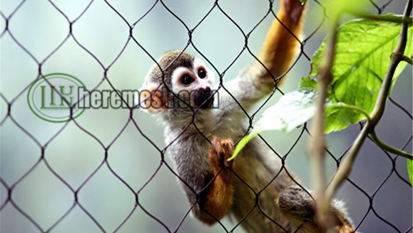 Monkey fence mesh