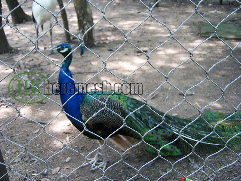 Peacock Fence Mesh