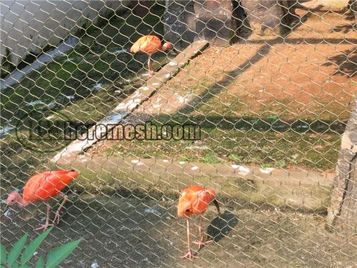 Image showcasing Wire rope mesh for large bird enclosures - Stainless Steel Cable Mesh ...