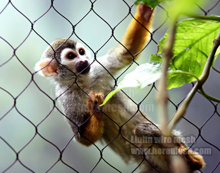 HOME-8-monkey-enclosure-net-3