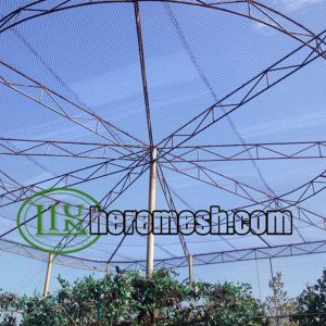 Picture of Building A Macaw Aviary —Let The Macaw Grow Healthily