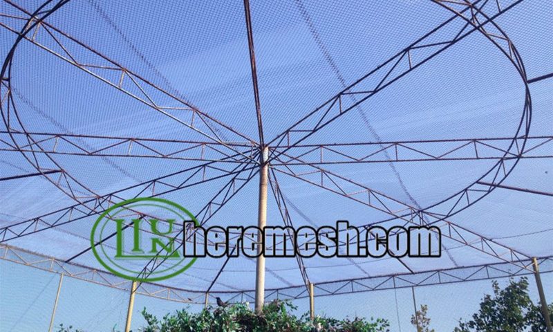 Stainless Steel Bird Aviary Mesh