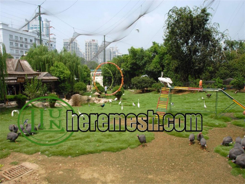 Stainless Steel Bird Aviary Mesh
