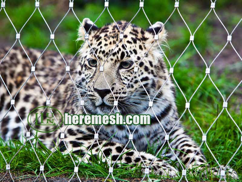 zoo fence cable mesh