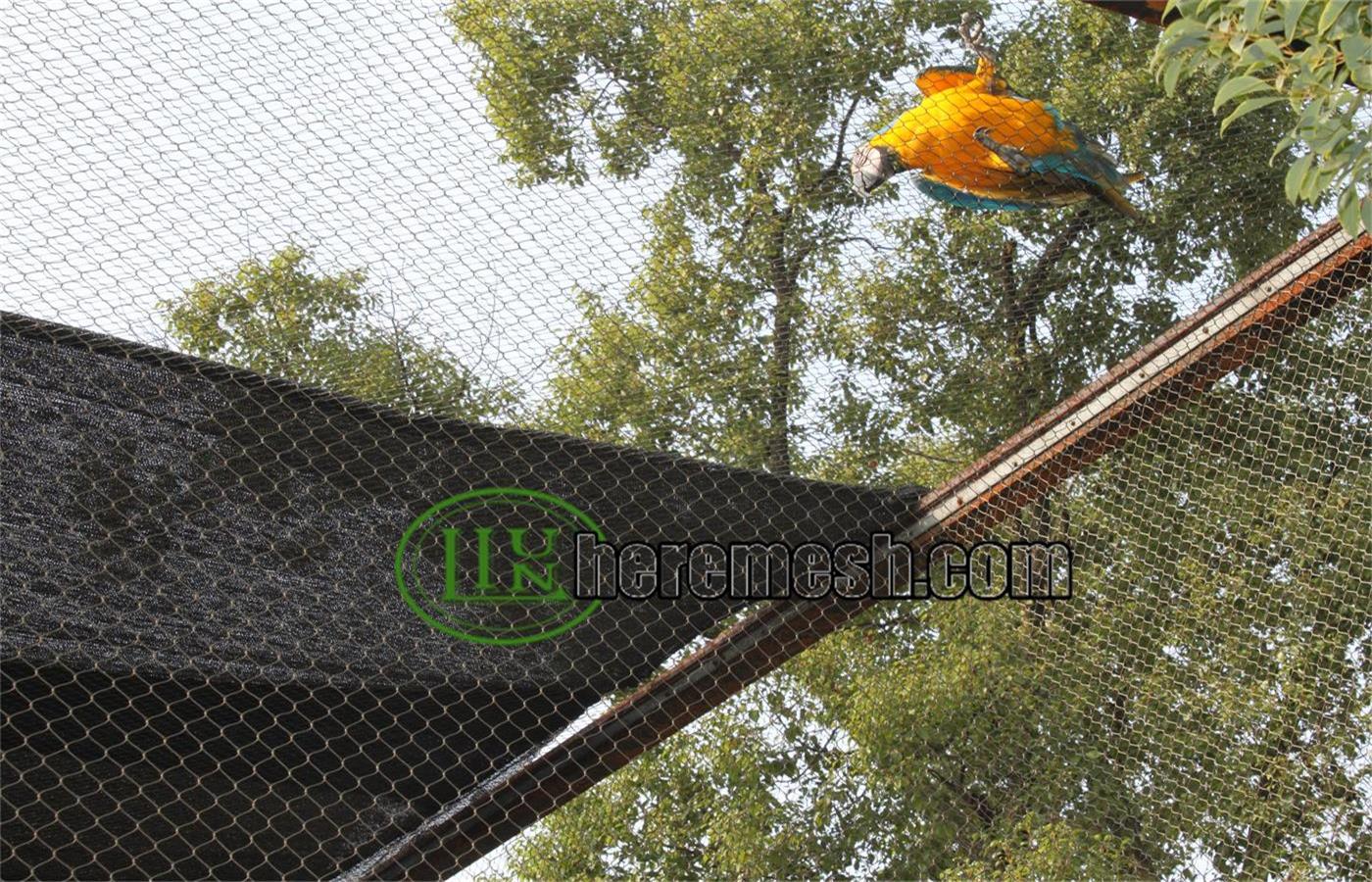 Picture of Building A Macaw Aviary —Let The Macaw Grow Healthily