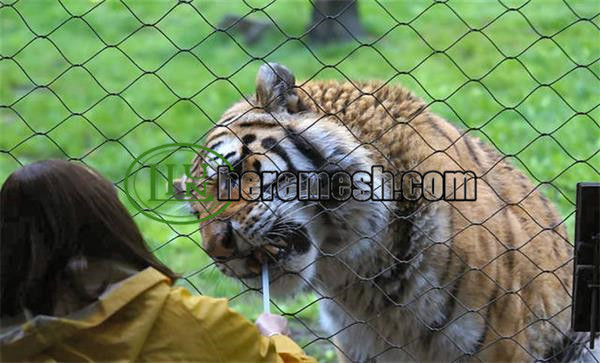 Animal fence nets can make animals live healthier lives