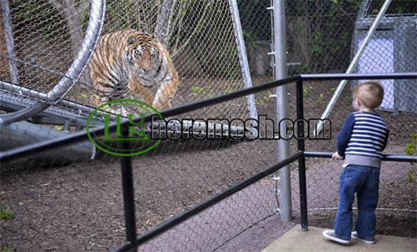 Animal fence nets can make animals live healthier lives