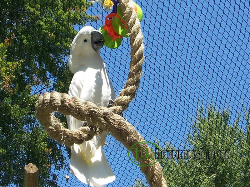 Curated visual reference: Visual Reference: Parrot Aviary Stainless Steel Cable Mesh Is The Best Choice