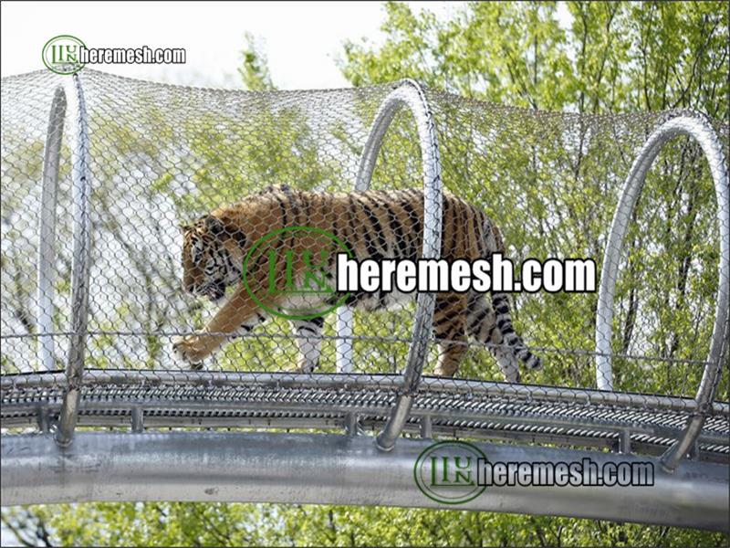 Stainless Steel Wire Woven Netting