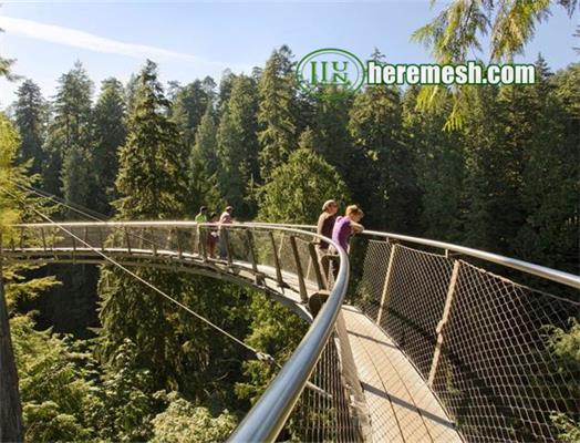 Bridge fence mesh