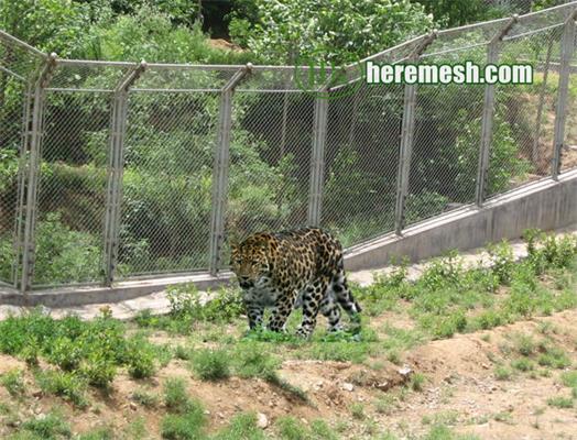 Zoo animal enclosure mesh