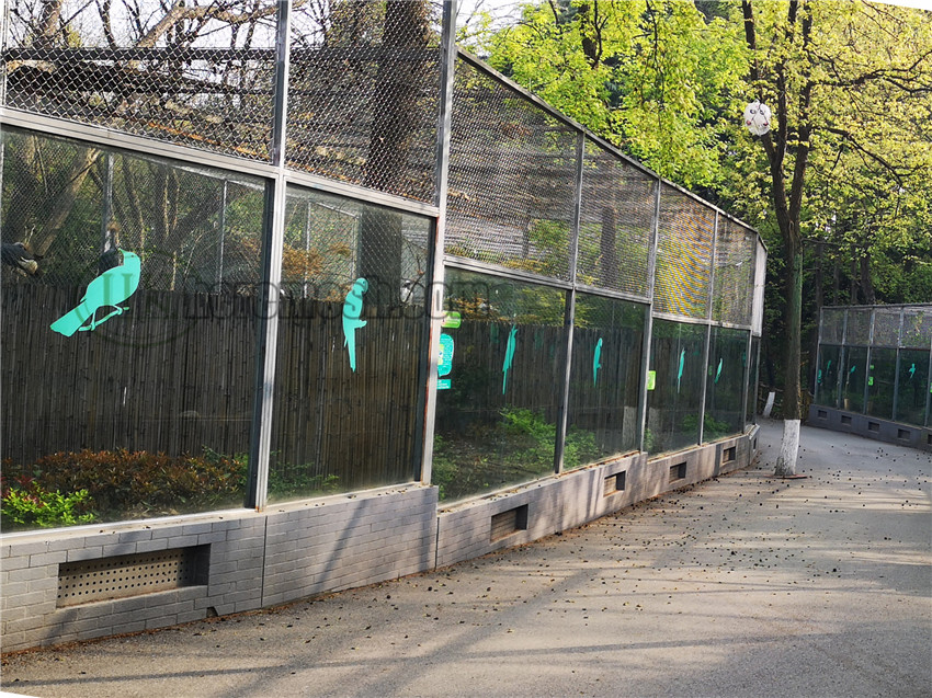 Parrot aviary mesh