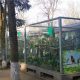 Amazon Parrot Aviary Netting
