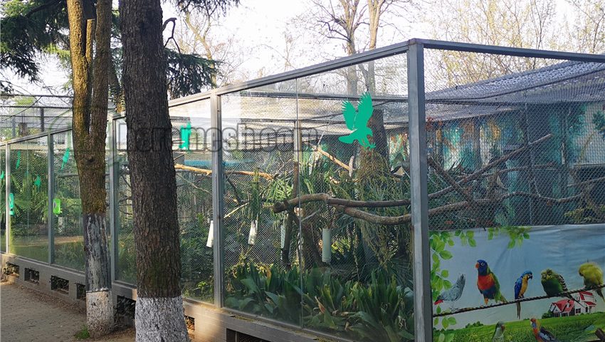 Amazon Parrot Aviary Netting