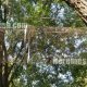 monkey enclosure cage mesh