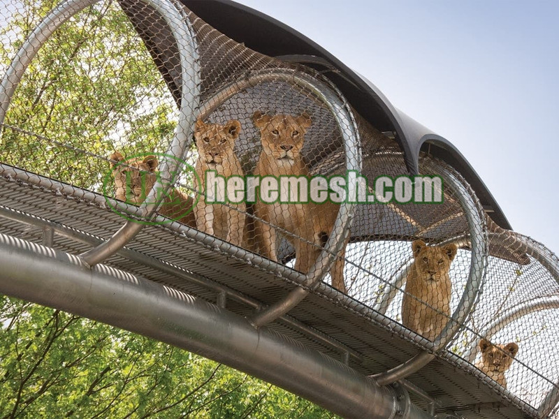 lion tunnel mesh