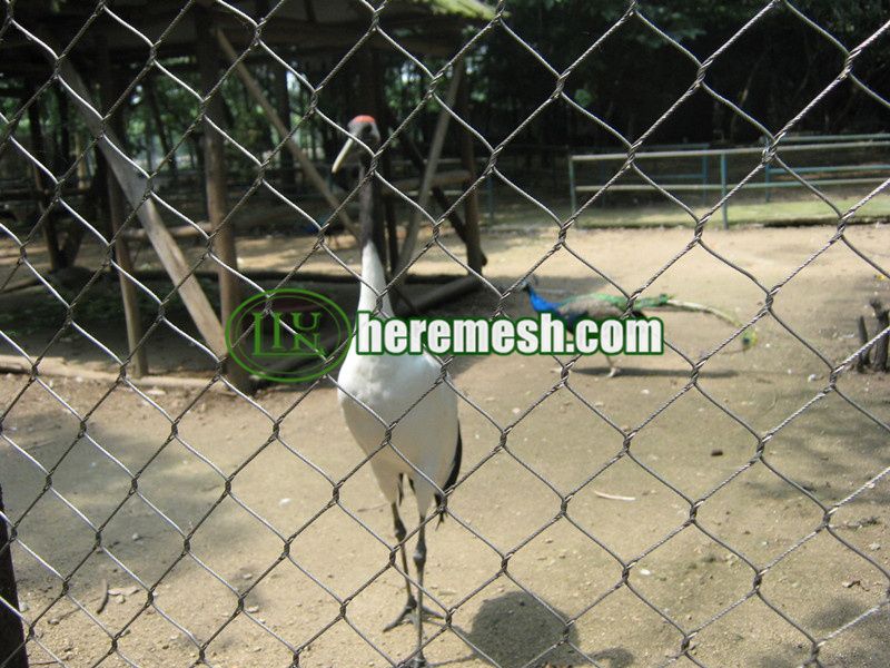 Crowned Crane Cage Fence Mesh
