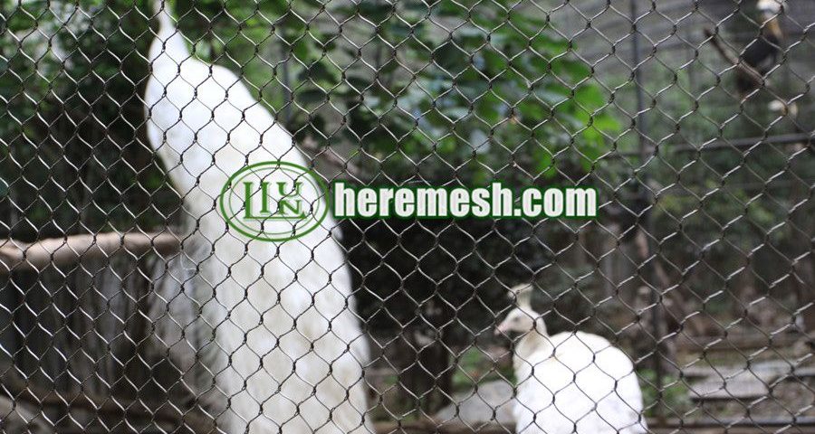 Large Birds Aviaries-Peacock Enclosure Mesh