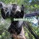 The most competitive price zoo mesh