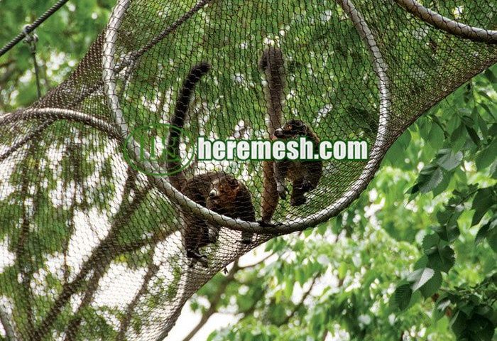 Stainless Steel Tunnel Mesh