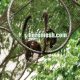 Stainless Steel Tunnel Mesh