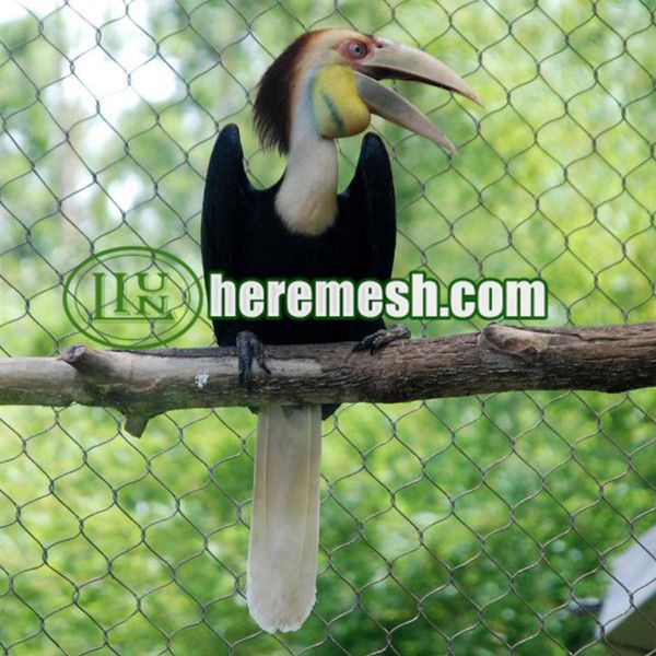 Zoo Enclosure Mesh Supplier 