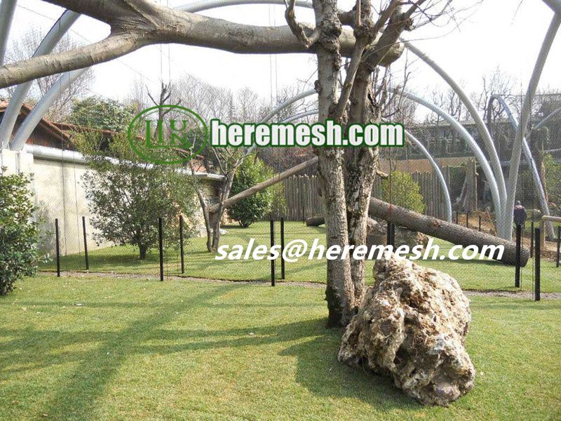 Bird Aviary And Animal Enclosures