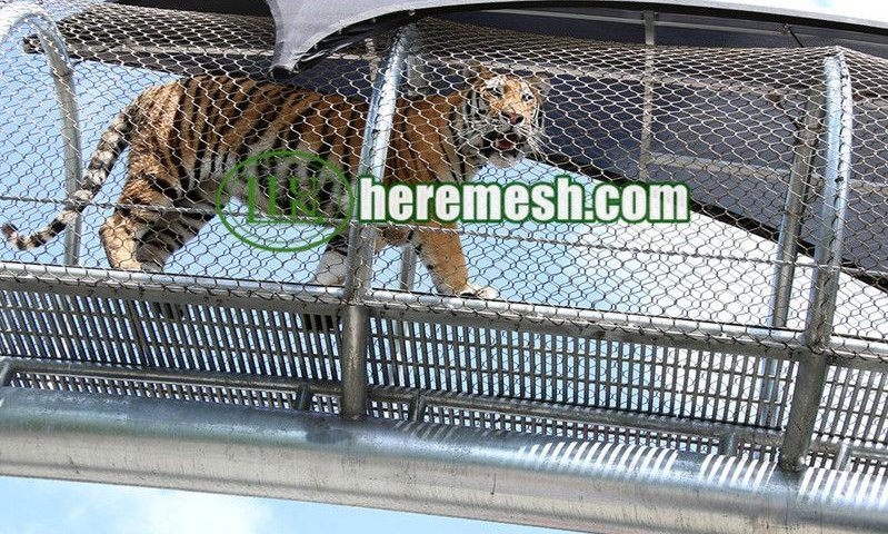 Wire Rope Tiger Mesh Net