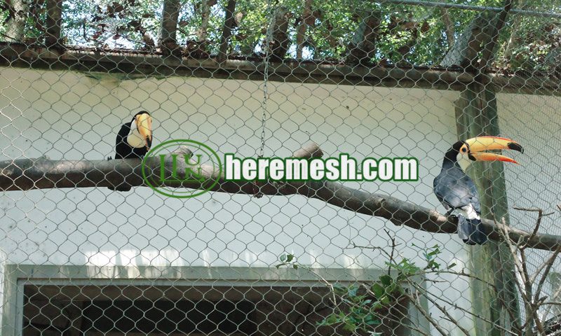 Photo inspiration: Aviary Habitat Kits For Macaws And Birds Of Prey Reference: Stainless Steel Aviary Mesh Creating A Better Habitat For Birds