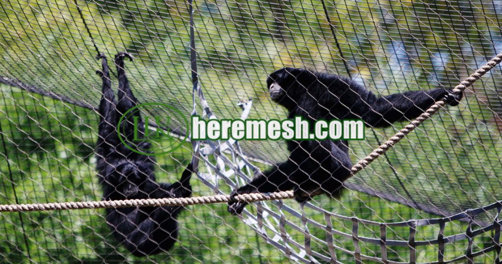 Monkey Enclosure Wire Mesh