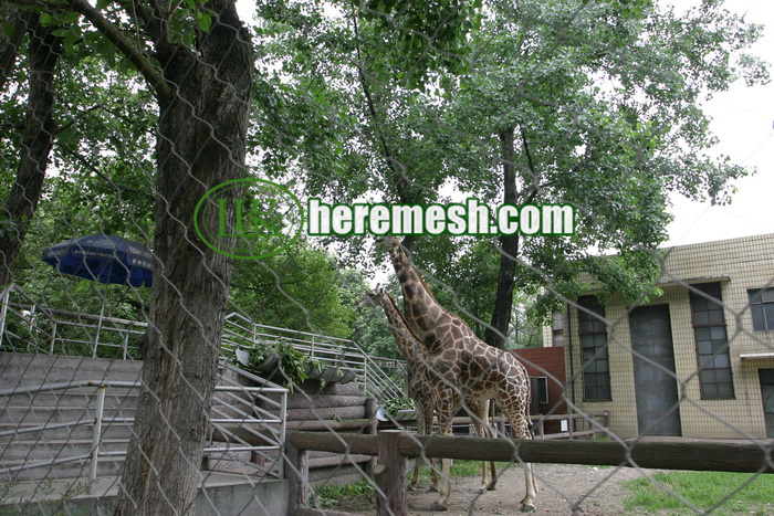 Giraffe Fence Mesh