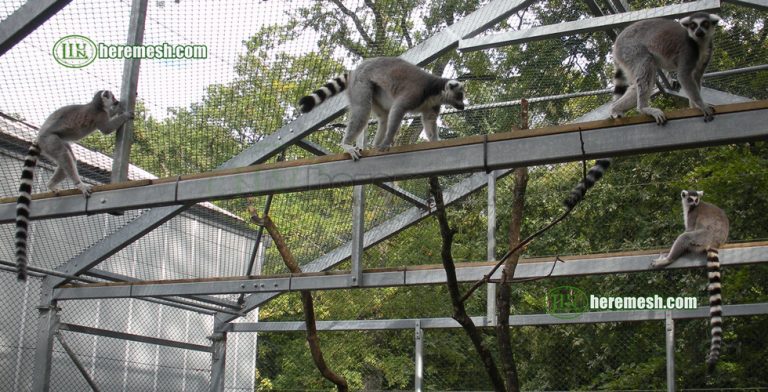 Image showcasing Lemur Enclosure Mesh ，Lemur Exhibition Mesh Netting