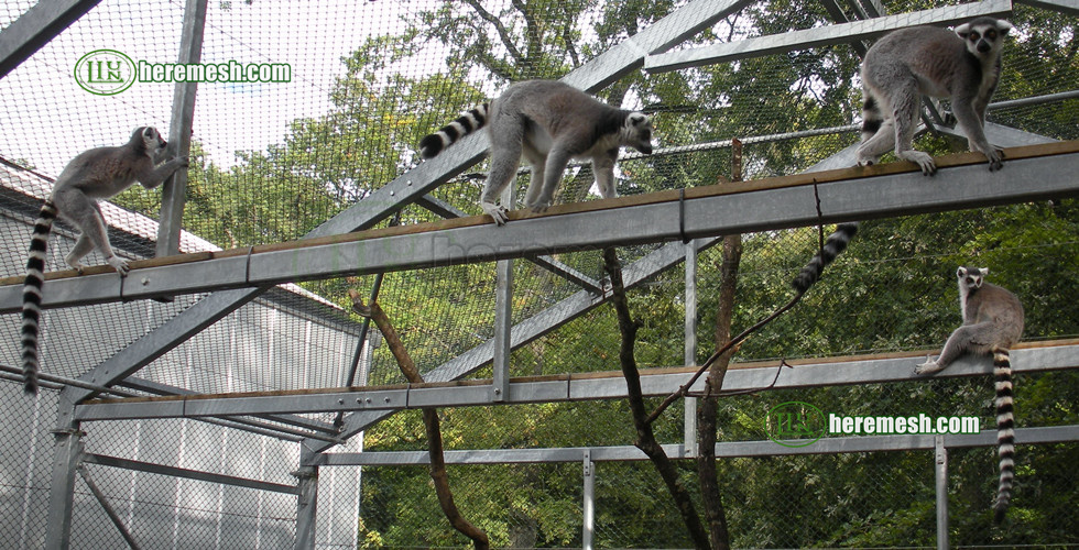 Lemur Enclosure Mesh