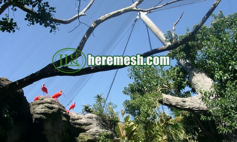 aviary mesh panels